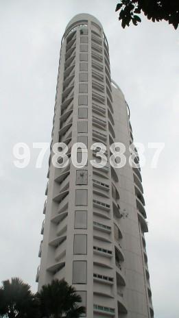 11 Amber Road thumbnail photo